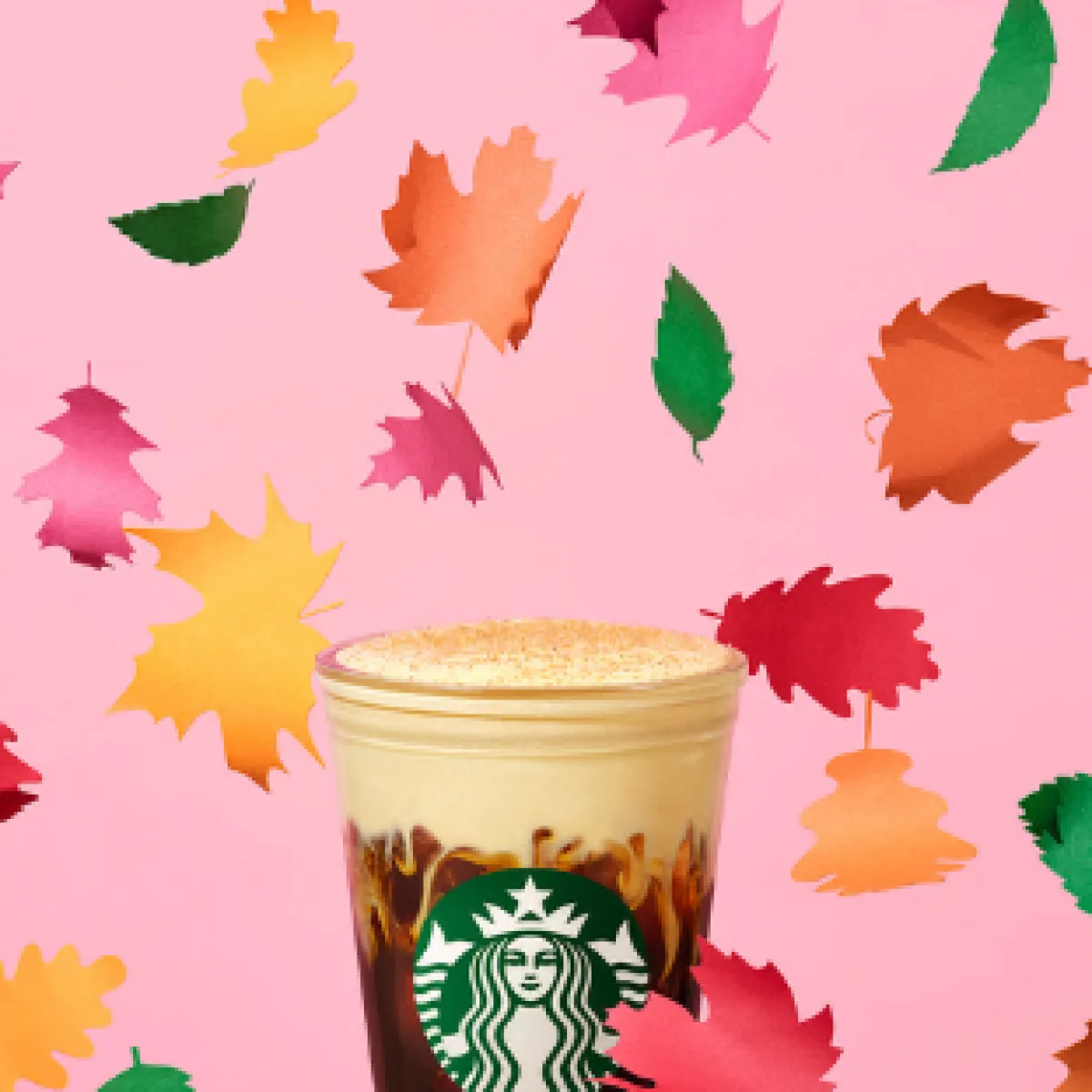 Pumpkin Cream Cold Brew
